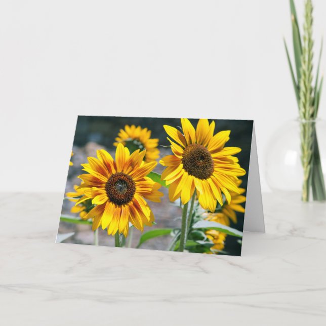 Cartão do dia das avós (Frente)