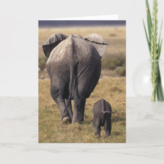 cartão do dia das mães