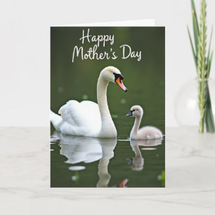 Cartão do Dia das Mães Cisne Gentil