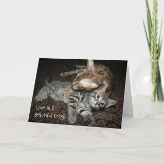 Cartão do dia das mães com gato