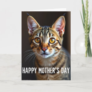 Cartão do Dia das Mães com Gato Ruivo