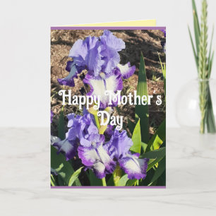 Cartão do Dia das Mães com Íris Roxa floral