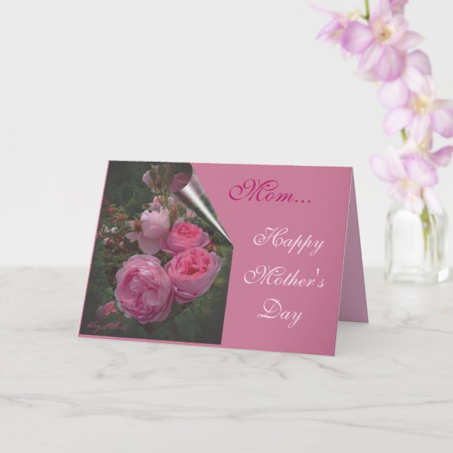 Cartão do Dia das Mães com Rosa Rosa (Orquídea)