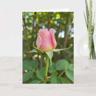 Cartão do Dia das Mães com Rosa Rosa em Flor
