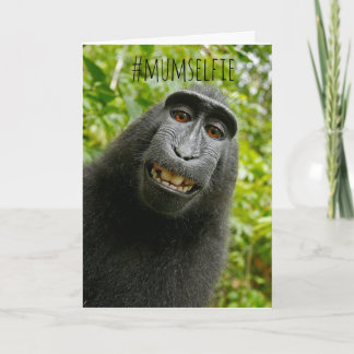Cartão do Dia das Mães com selfie de macaco engraç