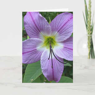 Cartão do Dia das Mães com Veias Florais