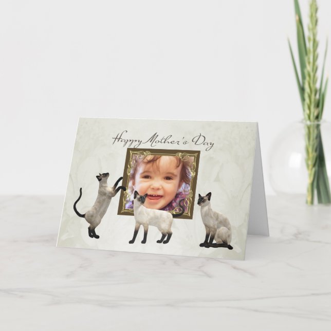 Cartão do dia das mães da foto com gatos siamese (Frente)