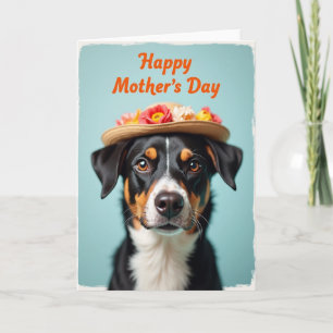 Cartão do Dia das Mães de Cachorro Aflito