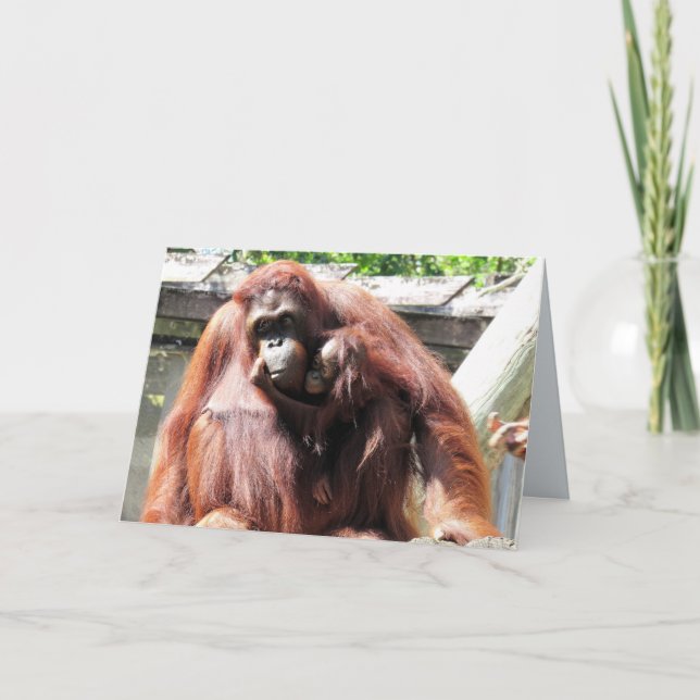 Cartão do Dia das Mães de Orangutango (Frente)