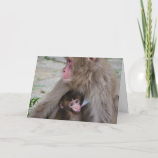 Cartão do dia das mães do macaco da mãe e do bebê