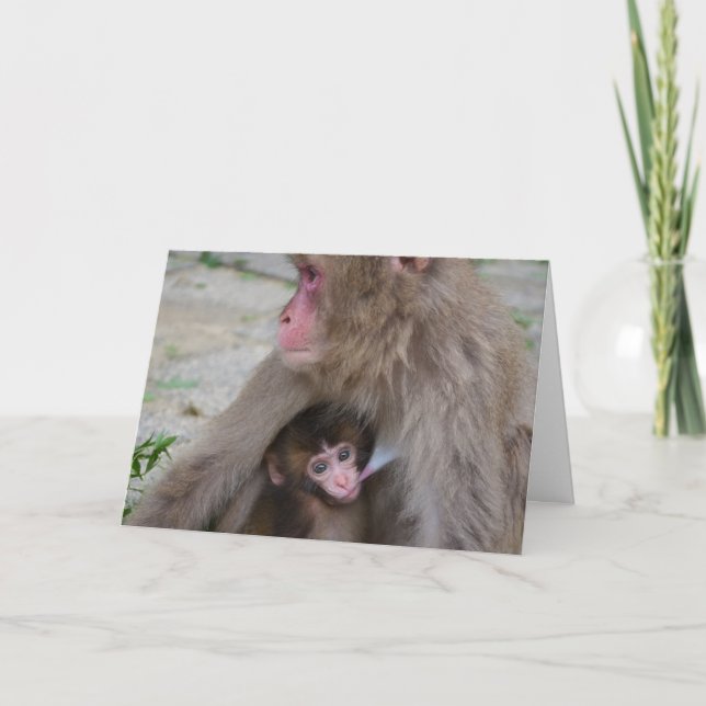 Cartão do dia das mães do macaco da mãe e do bebê (Frente)