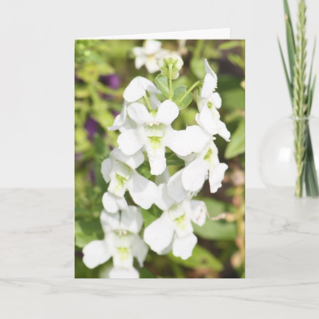 Cartão do dia das mães do marido (Frente)