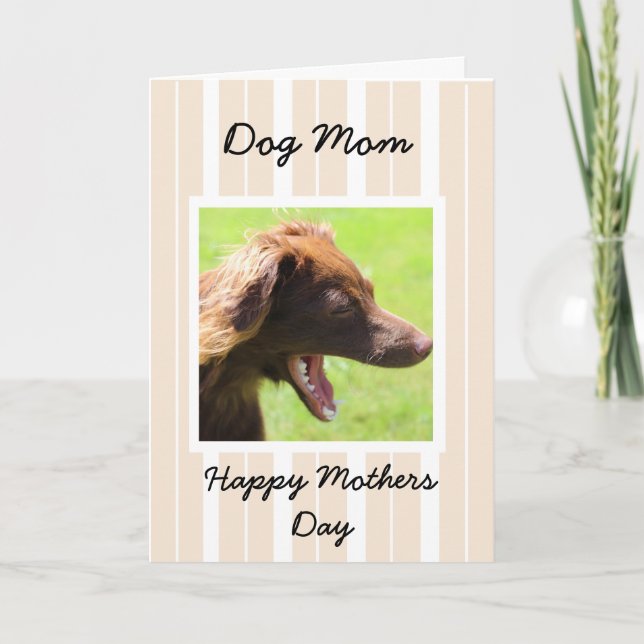 Cartão do dia das mães para mães do cão (Frente)