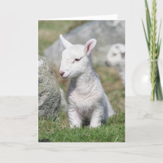 CARTÃO DO DIA DE AS MÃES