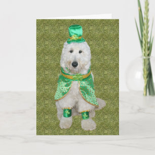 Cartão do dia de Huey McGoldendoodle St Patrick