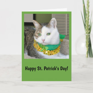 Cartão do dia de St Patrick do gato