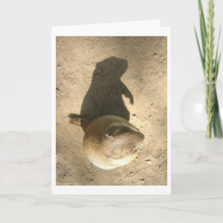 Cartão do dia do porco à terra