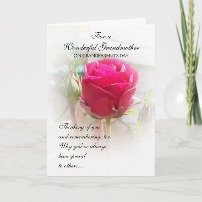 Cartão do Dia dos Avós Rosa Rosebud (Frente)