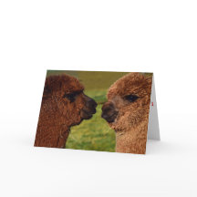 Cartão do dia dos namorados do amor BFF da alpaca