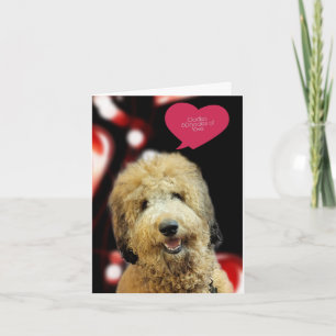 Cartão do Dia dos Namorados do Cãozinho Doodle Pre