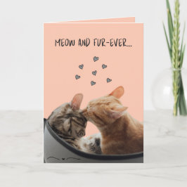 Cartão do Dia dos Namorados, Meow e Fur-Ever