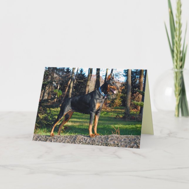 Cartão do Doberman (Frente)