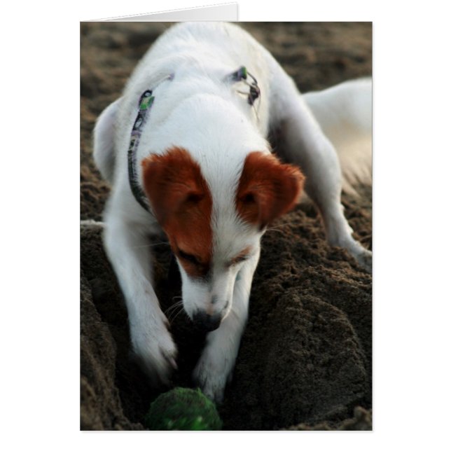 Cartão Do "duro jogo! " (Frente)