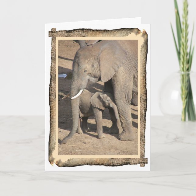 Cartão do elefante e da vitela (quadro do tronco (Frente)
