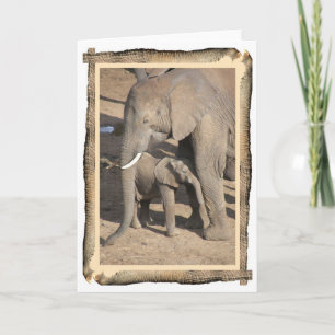 Cartão do elefante e da vitela (quadro do tronco