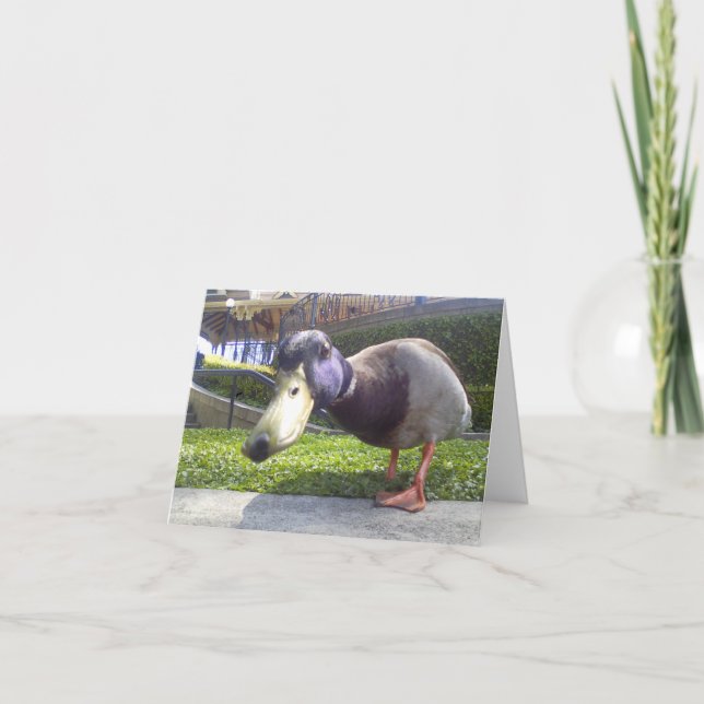 Cartão Do "encontro pato " (Frente)