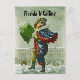 CARTÃO DO ENDEREÇO DO INVERNO DO ANÚNCIO DO