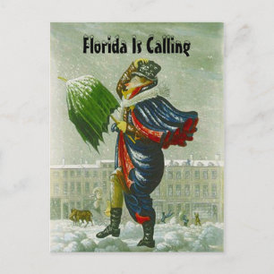 CARTÃO DO ENDEREÇO DO INVERNO DO ANÚNCIO DO