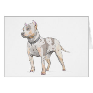 Cartão do esboço da aguarela do cão do pitbull