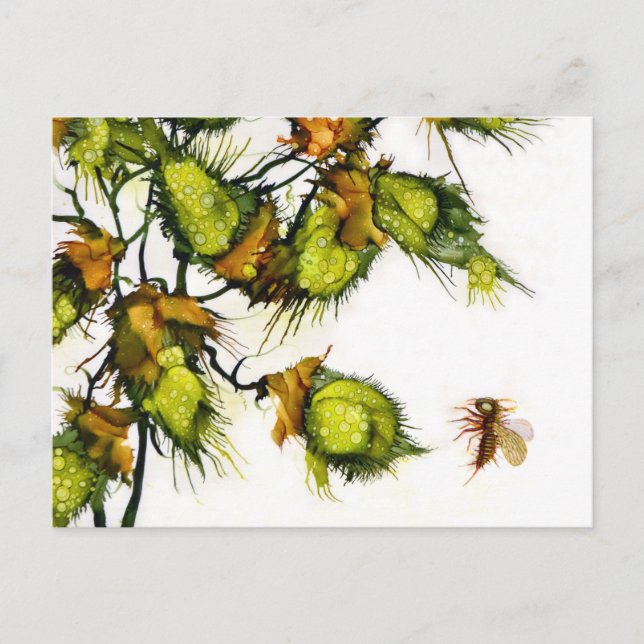 Cartão do "escuteiro" por JAC (Frente)