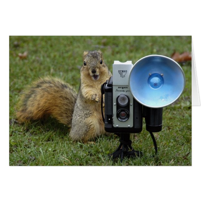 cartão do esquilo grande (Frente Horizontal)