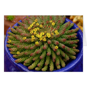 Cartão do eufórbio do Succulent por Debra Lee
