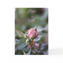 Cartão do falecimento, botão cor-de-rosa