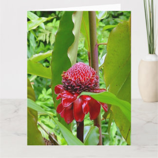 Cartão do feliz aniversario de Havaí