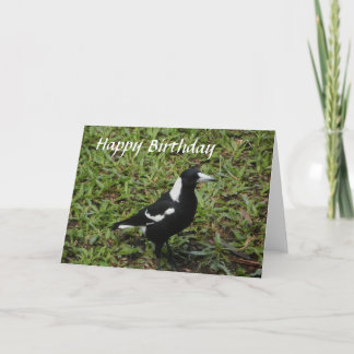 Cartão do feliz aniversario de Magpie australiano