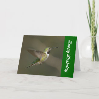 Cartão do feliz aniversario do colibri