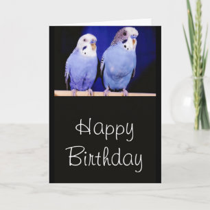 Cartão do feliz aniversario dos Parakeets
