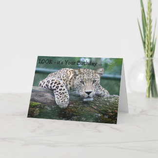 Cartão do feliz aniversario: Leopardo que olha