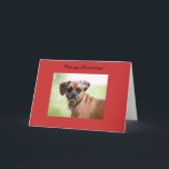 Cartão do Feliz Natal de Puggle<br><div class="desc">Cartão do Feliz Natal de Puggle</div>