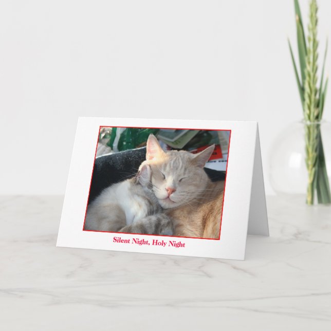 Cartão do feriado (Frente)