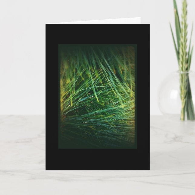 Cartão do feriado de inverno 1 (Frente)