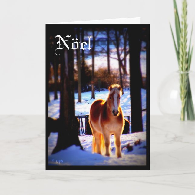 Cartão do feriado de Nöel (Frente)