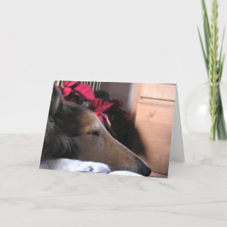 Cartão do feriado do Collie do sono