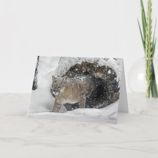 Cartão do feriado do leão de montanha (Frente)