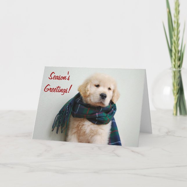 Cartão do feriado dos cumprimentos da estação (Frente)