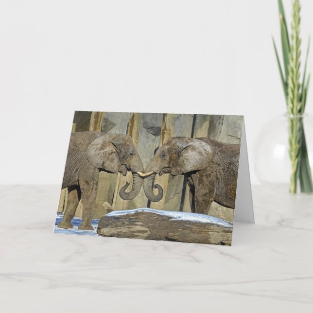 Cartão do feriado dos melhores amigos do elefante (Frente)